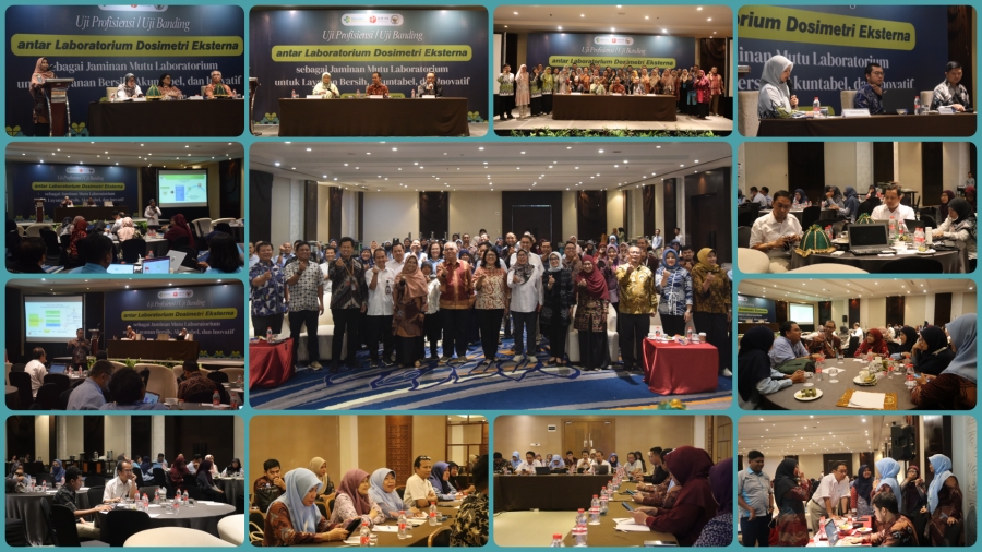 Pertemuan Uji Banding Antar Laboratorium Dosimetri Eksterna : Kolaborasi Kemenkes, BAPETEN, dan BRIN untuk Penguatan Mutu Laboratorium